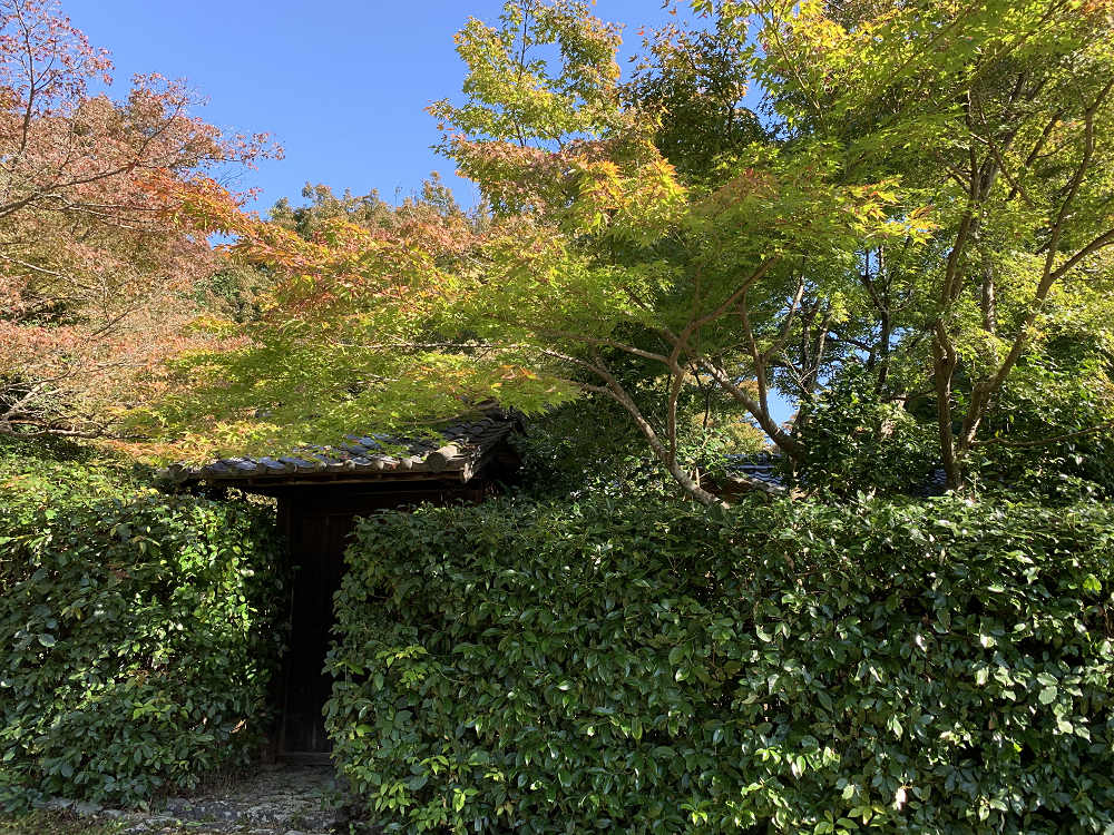 令和記念 興福院特別拝観 ＠奈良市-21