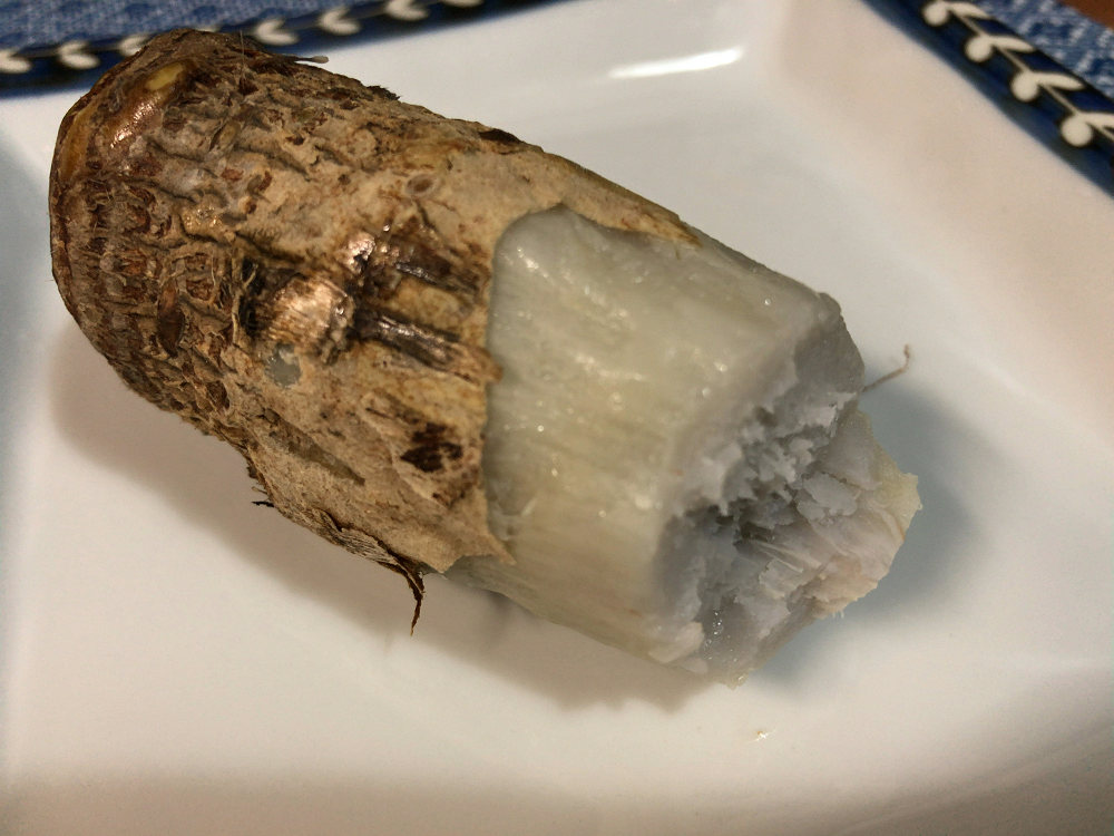 大和伝統野菜の里芋「味間いも」はラップしてレンチンで美味！-02