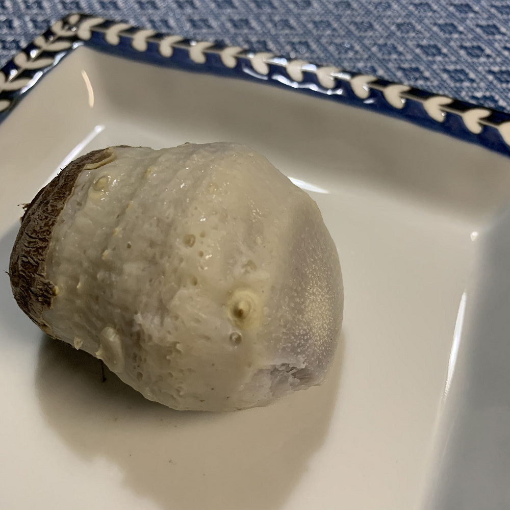 大和伝統野菜の里芋「味間いも」はラップしてレンチンで美味！-03