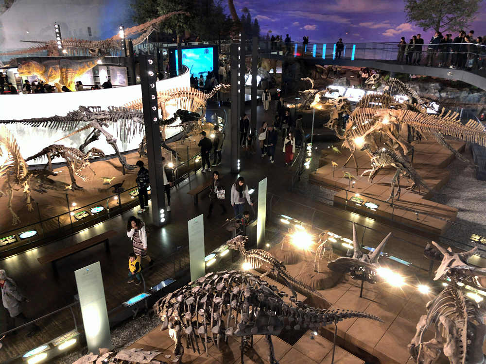 福井県立恐竜博物館＠福井県勝山市-03