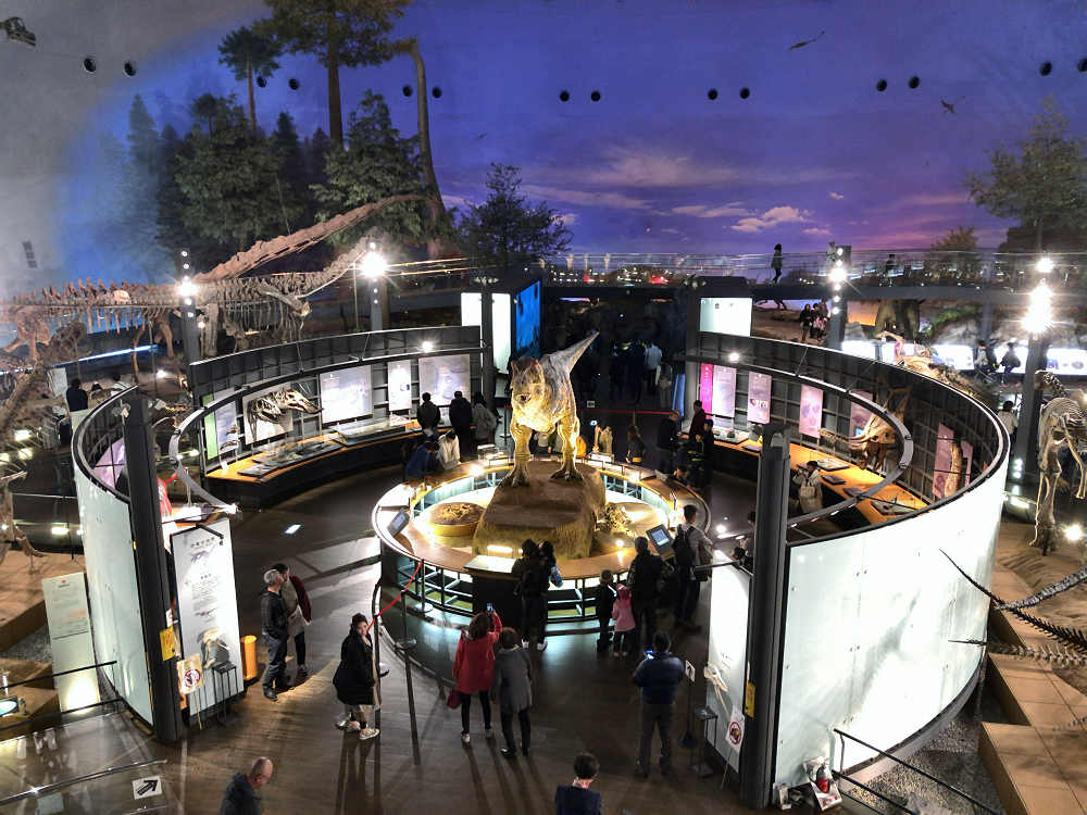 福井県立恐竜博物館＠福井県勝山市-04