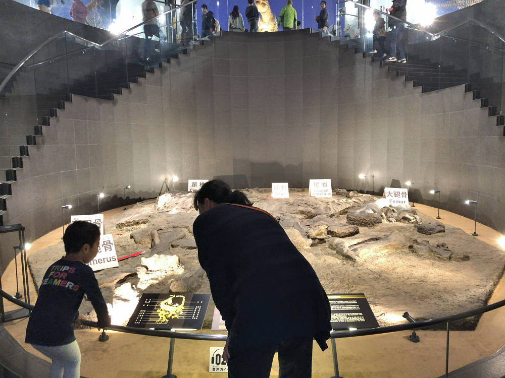 福井県立恐竜博物館＠福井県勝山市-06