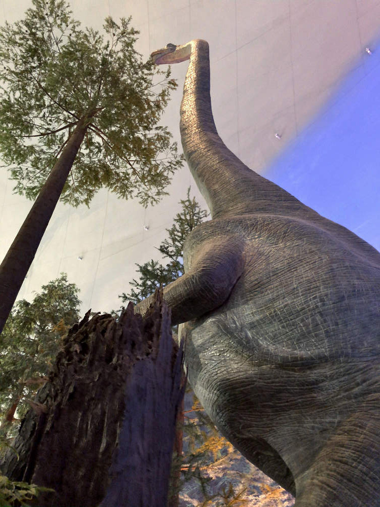 福井県立恐竜博物館＠福井県勝山市-15