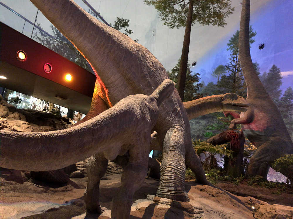福井県立恐竜博物館＠福井県勝山市-16