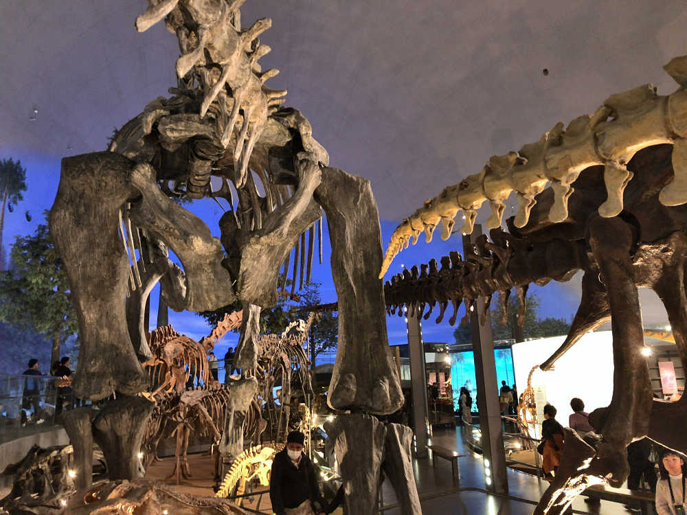 福井県立恐竜博物館＠福井県勝山市-23