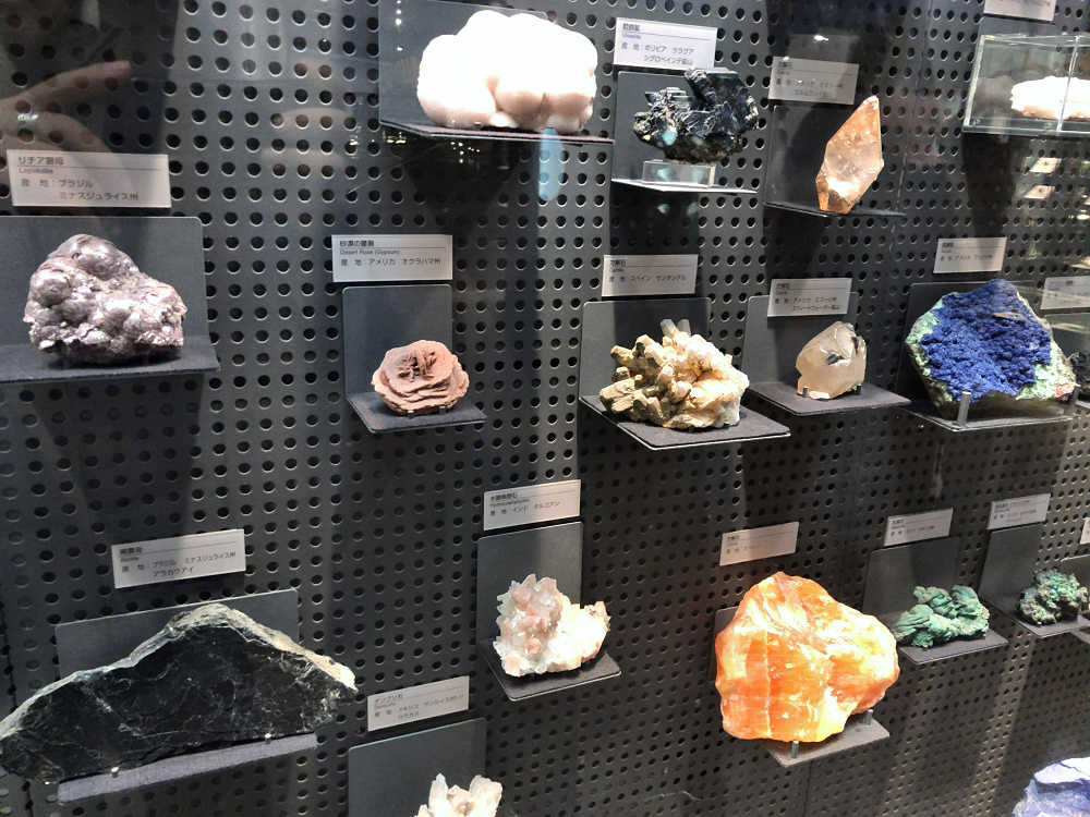 福井県立恐竜博物館＠福井県勝山市-26