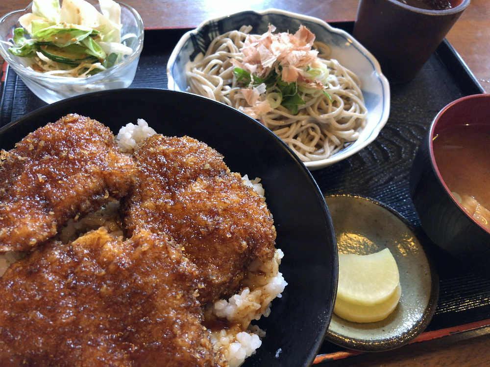 福井県立恐竜博物館＠福井県勝山市-27