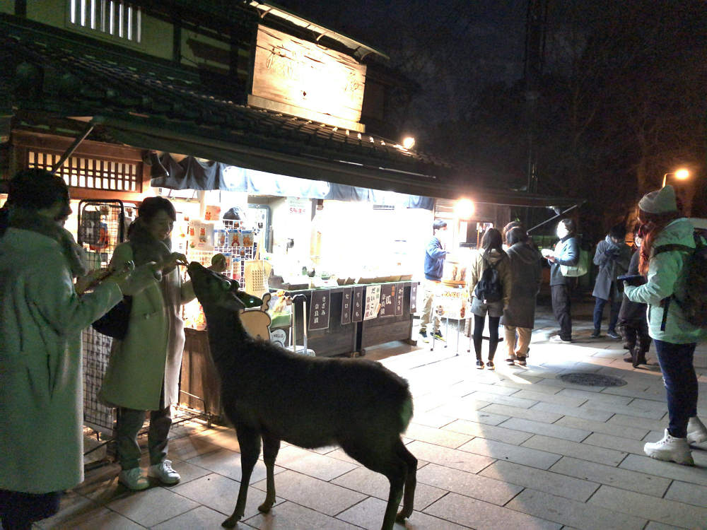 しあわせ回廊 なら瑠璃絵2020＠奈良市-03