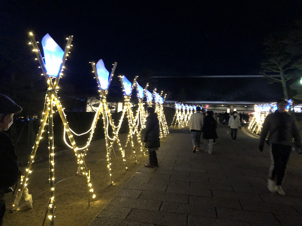 しあわせ回廊 なら瑠璃絵2020＠奈良市-10