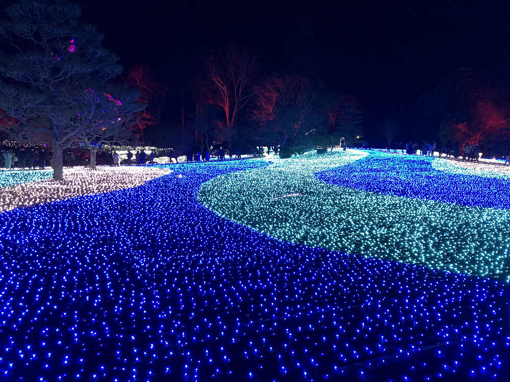 しあわせ回廊 なら瑠璃絵2020＠奈良市-13