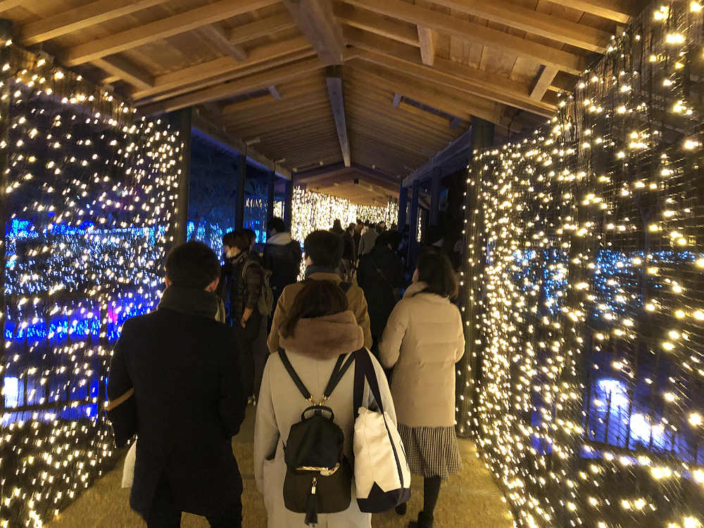 しあわせ回廊 なら瑠璃絵2020＠奈良市-14