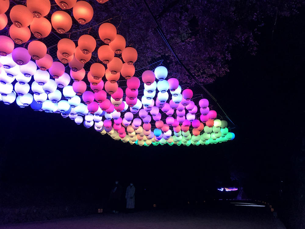 しあわせ回廊 なら瑠璃絵2020＠奈良市-17