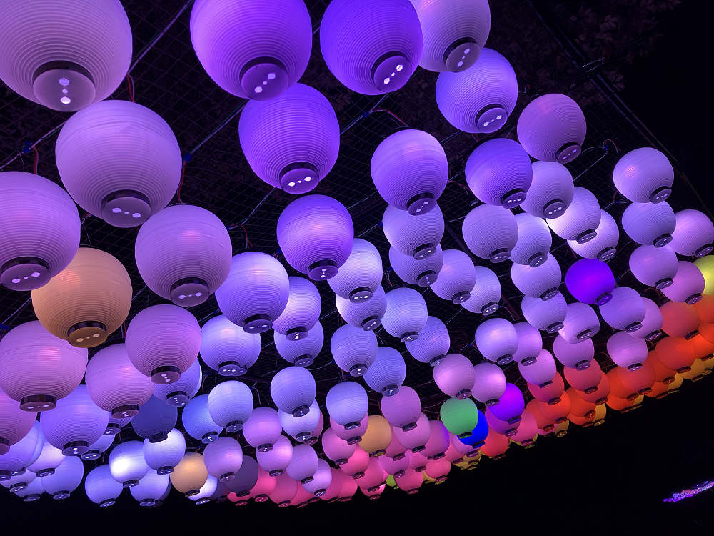 しあわせ回廊 なら瑠璃絵2020＠奈良市-18