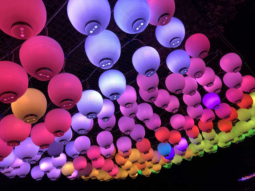 しあわせ回廊 なら瑠璃絵2020＠奈良市-19