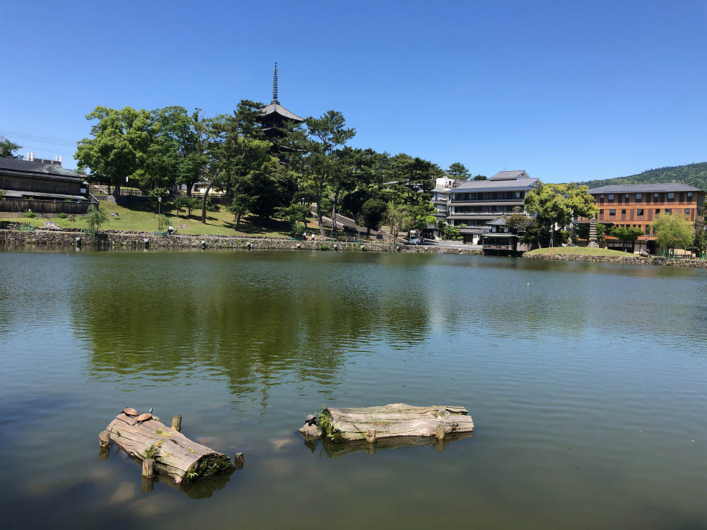 久しぶりの奈良観光（2020/05/28）-01