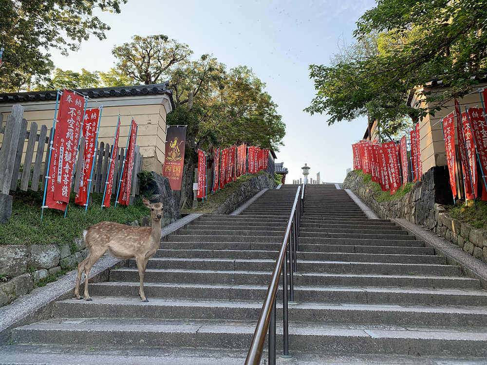 久しぶりの奈良観光（2020/05/28）-03