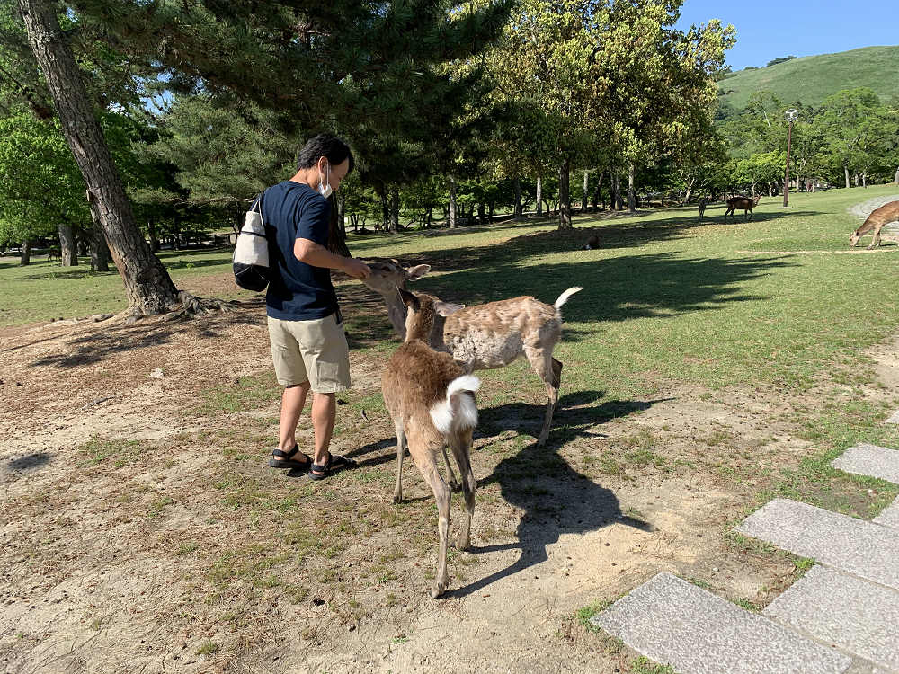 久しぶりの奈良観光（2020/05/28）-12