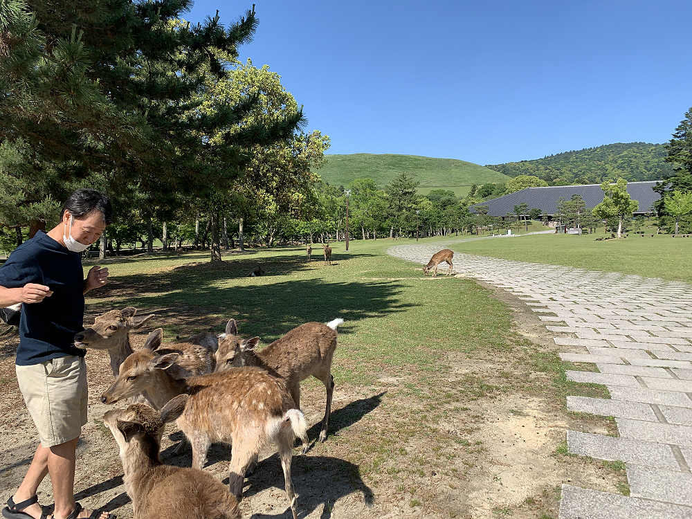 久しぶりの奈良観光（2020/05/28）-13