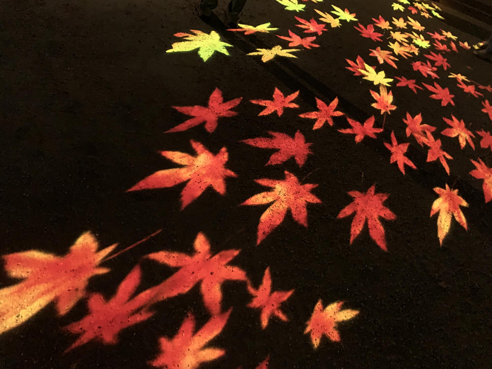 天平たなばた祭り～平城京天平祭・夏～-10