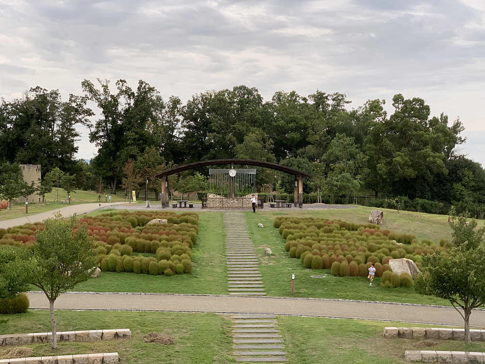 コキアの紅葉＠馬見丘陵公園-05