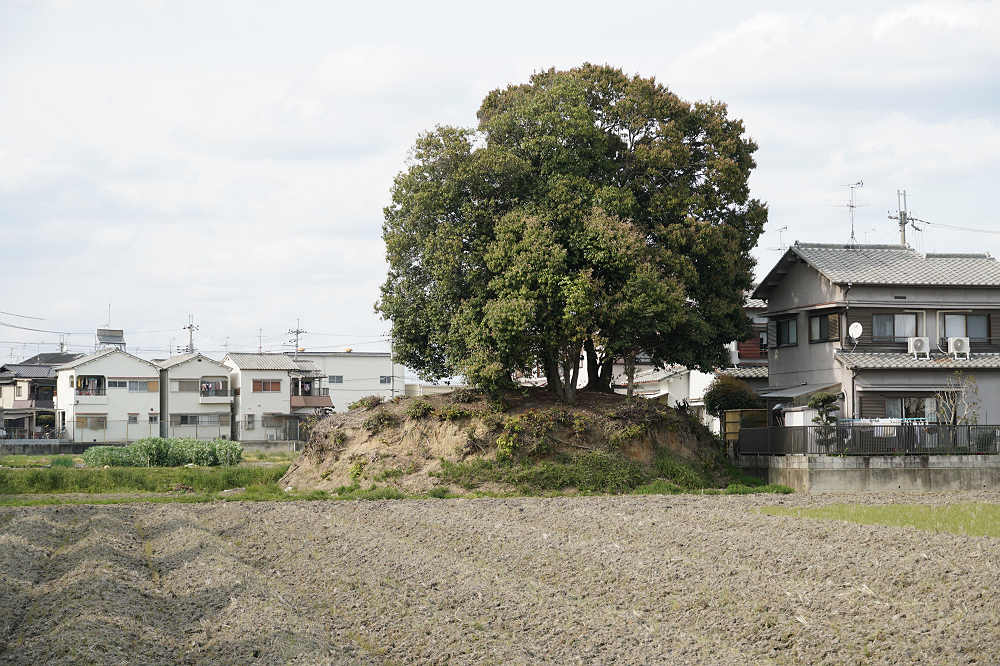 書籍『たずねる・わかる 聖徳太子』淡交社-20