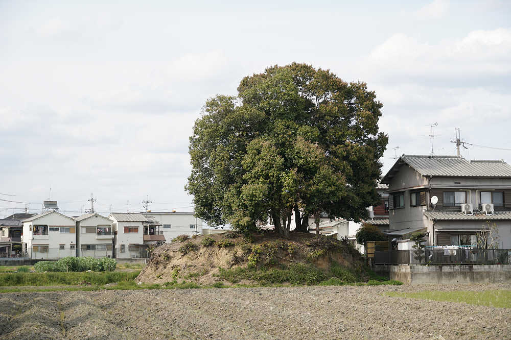 駒塚古墳＆調子丸古墳＠斑鳩町-02