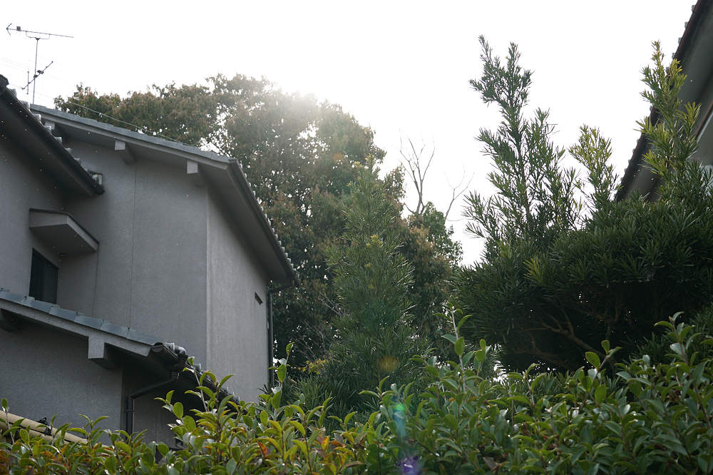 駒塚古墳＆調子丸古墳＠斑鳩町-03