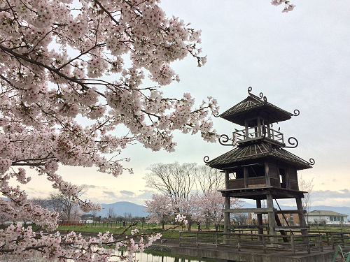 企画展「よみがえる弥生の祭場」＠唐古・鍵考古学ミュージアム（田原本町）-08