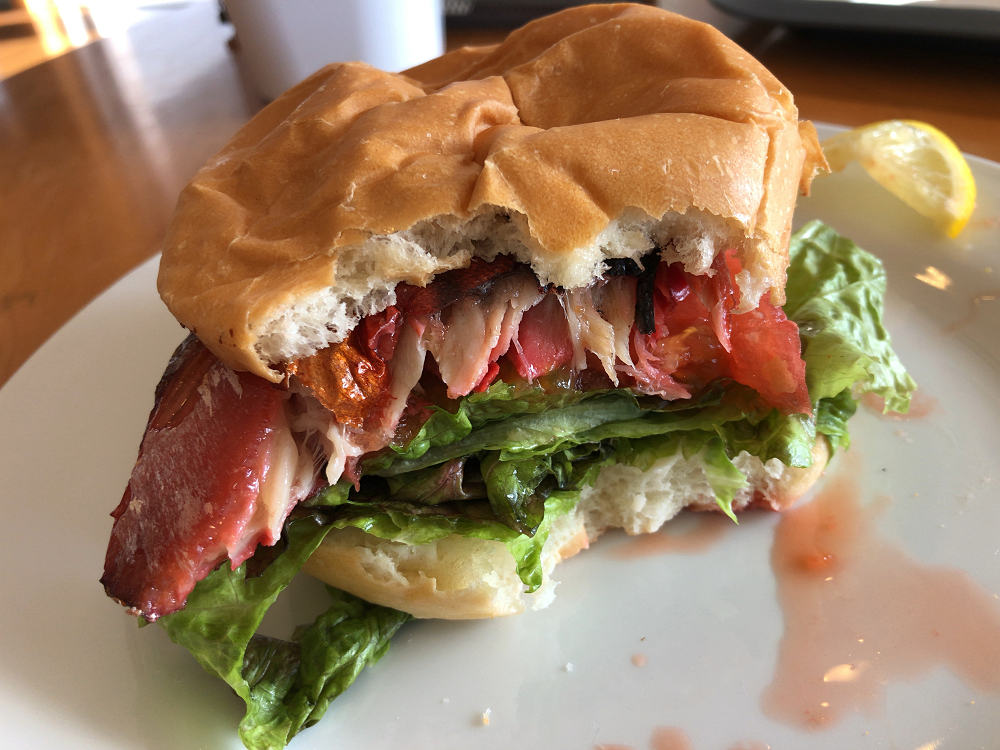 Aogaki Cafe@田原本町-07 Aogaki Cafe@田原本町-07