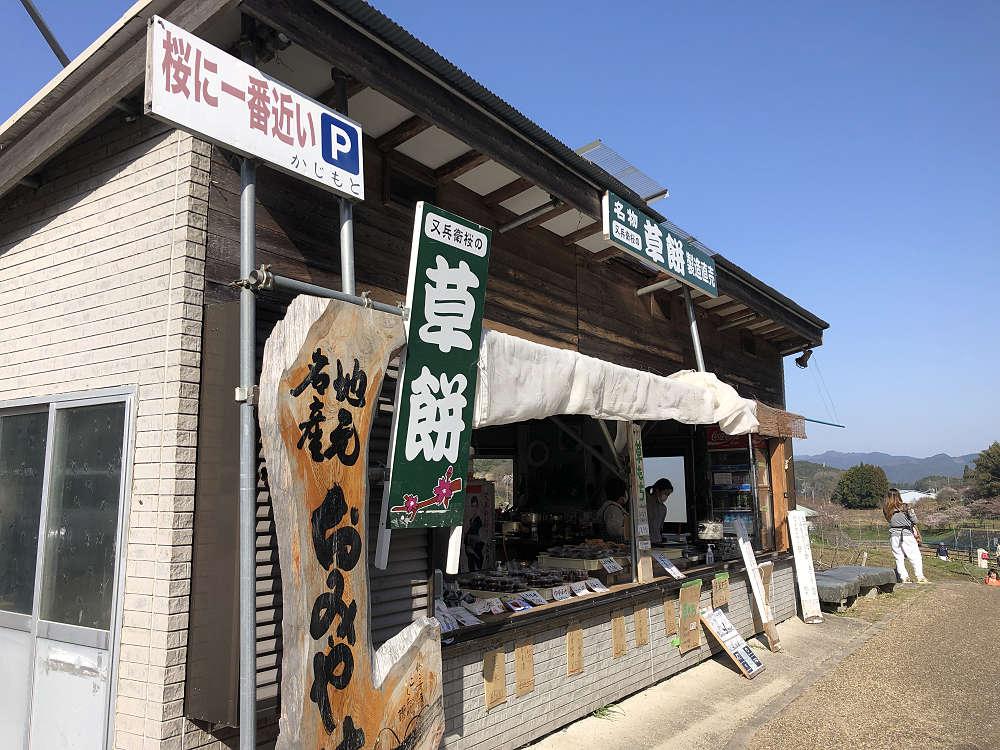 又兵衛桜(本郷の瀧桜)@宇陀市-16 又兵衛桜(本郷の瀧桜)@宇陀市-16