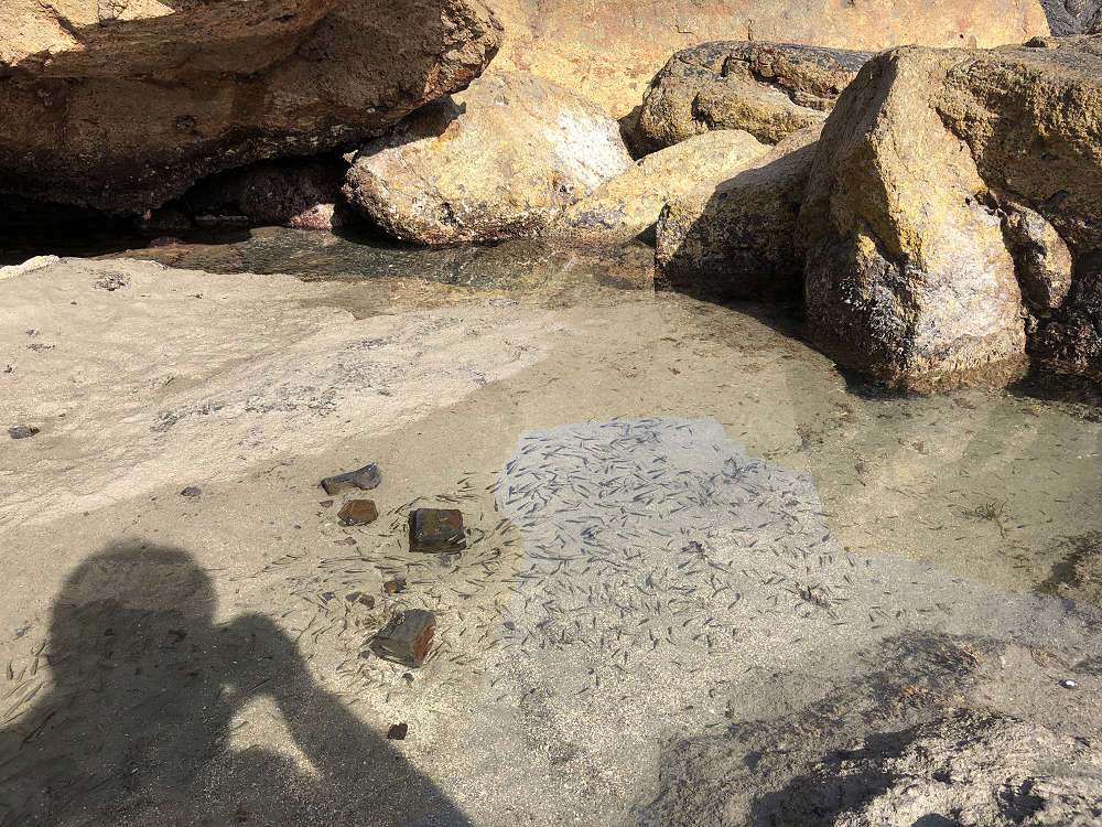 橋杭岩＠和歌山県串本町-02