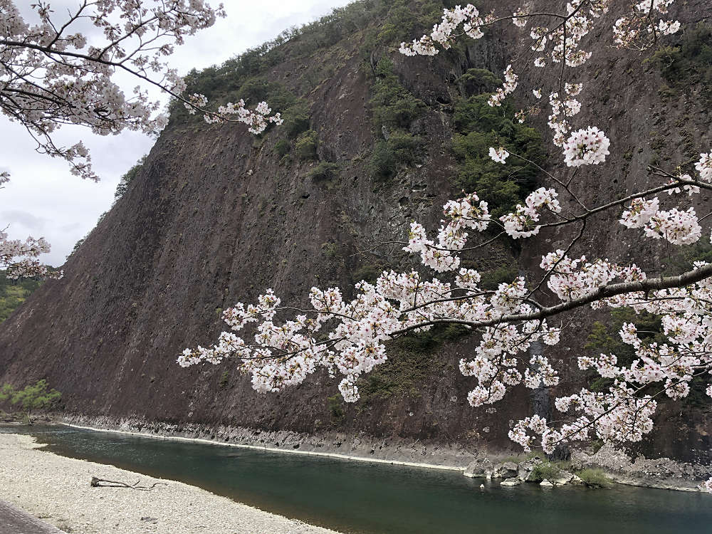 古座川の一枚岩＠和歌山県古座川町-20