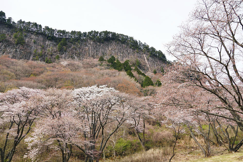 お亀の湯「お亀庵」グルメ@曽爾村-01 お亀の湯「お亀庵」グルメ@曽爾村-01