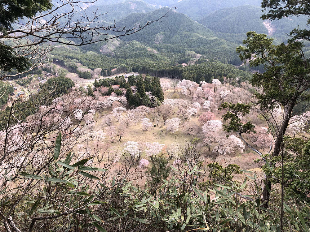 お亀の湯「お亀庵」グルメ@曽爾村-02 お亀の湯「お亀庵」グルメ@曽爾村-02