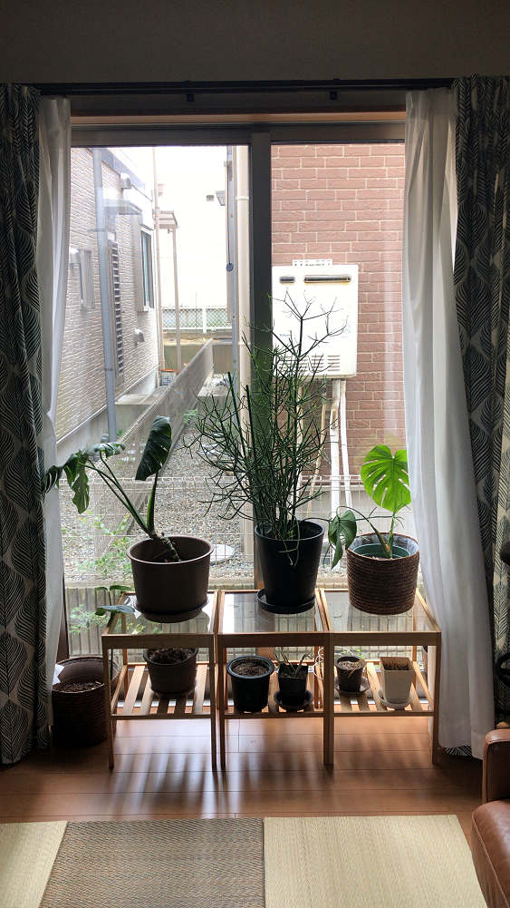 『かしはら植物園』&『フラワーガーデン花音』-00 『かしはら植物園』&『フラワーガーデン花音』-00