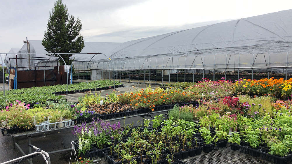 『かしはら植物園』&『フラワーガーデン花音』-03 『かしはら植物園』&『フラワーガーデン花音』-03