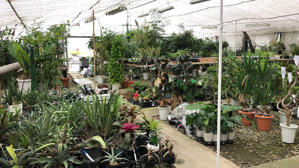 『かしはら植物園』&『フラワーガーデン花音』-04 『かしはら植物園』&『フラワーガーデン花音』-04