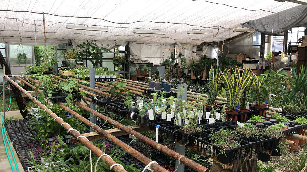 『かしはら植物園』&『フラワーガーデン花音』-05 『かしはら植物園』&『フラワーガーデン花音』-05