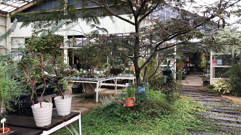 『かしはら植物園』&『フラワーガーデン花音』-10 『かしはら植物園』&『フラワーガーデン花音』-10