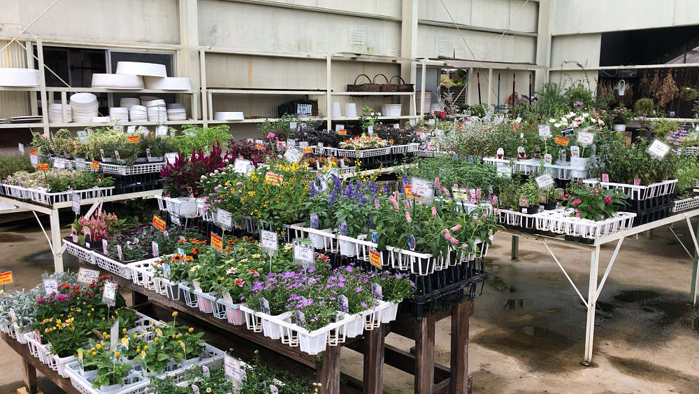 『かしはら植物園』&『フラワーガーデン花音』-11 『かしはら植物園』&『フラワーガーデン花音』-11