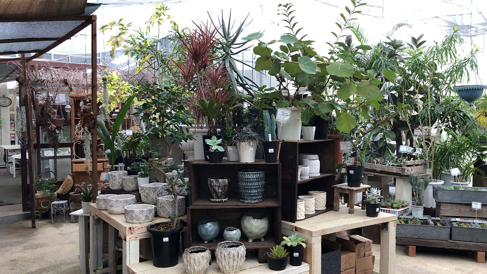 『かしはら植物園』&『フラワーガーデン花音』-12 『かしはら植物園』&『フラワーガーデン花音』-12