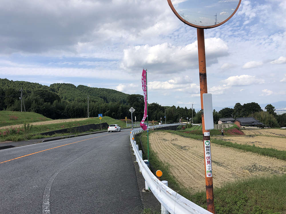 彼岸花の名所「棚田の中の伏見のため池」＠御所市-01