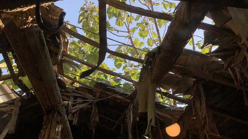 はならぁと2021 桜井・戒重エリア-10 はならぁと2021 桜井・戒重エリア-10