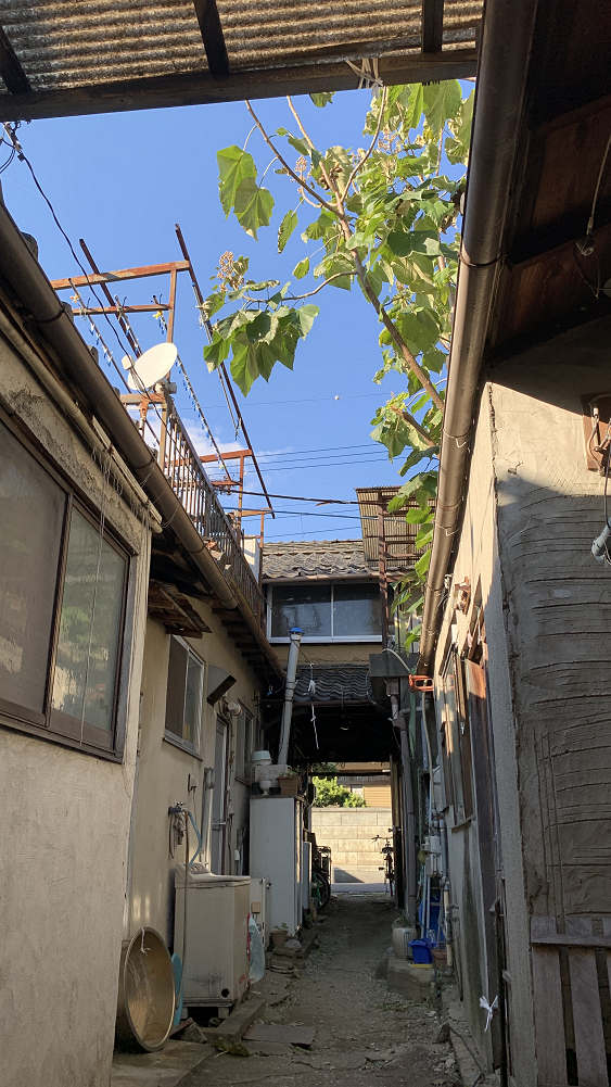 はならぁと2021 桜井・戒重エリア-20 はならぁと2021 桜井・戒重エリア-20