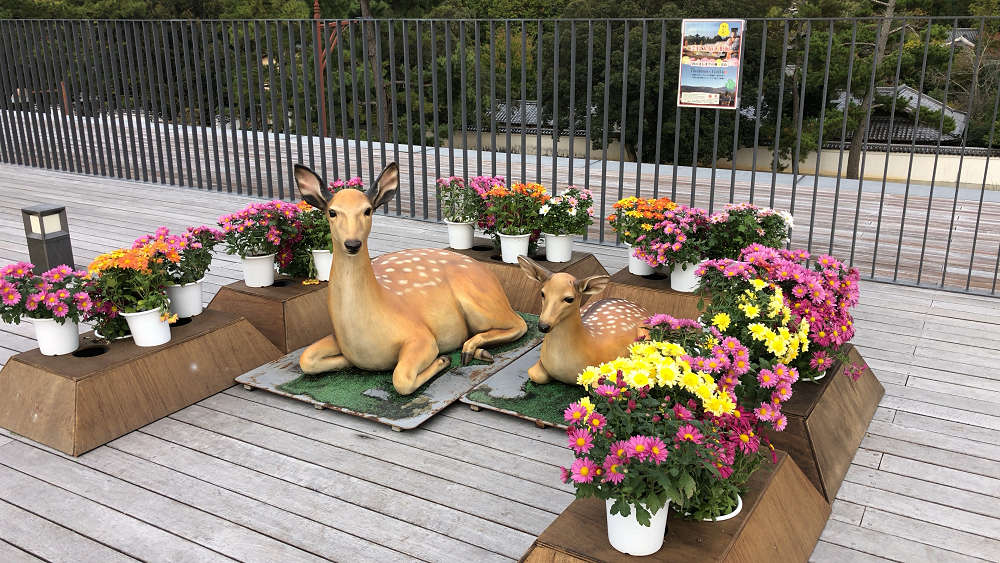 奈良大菊人形展@奈良公園バスターミナル屋上-11 奈良大菊人形展@奈良公園バスターミナル屋上-11
