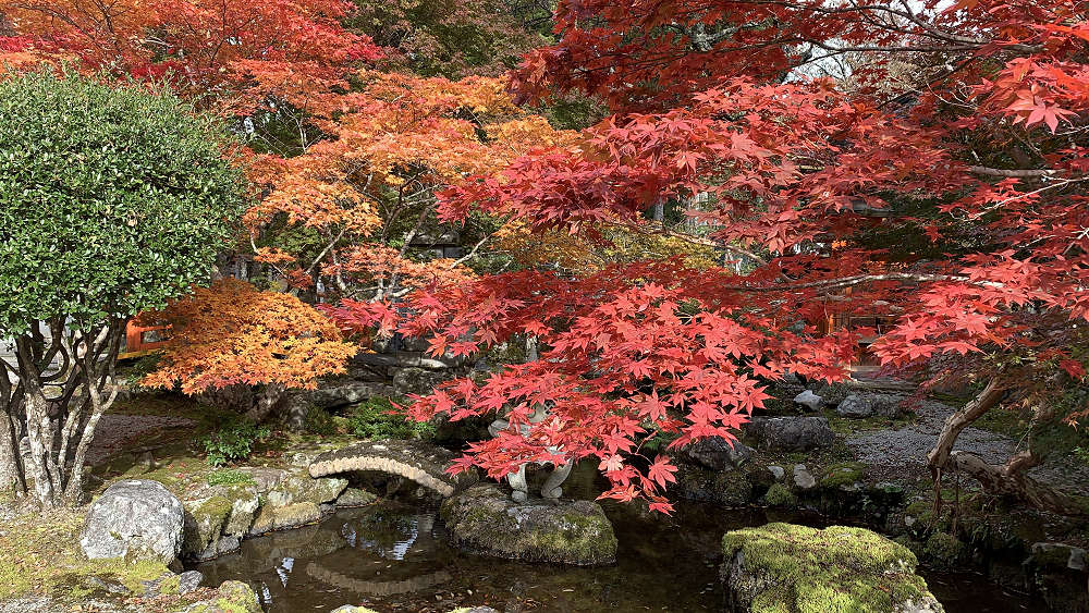 MIND TRAIL 奥大和 心のなかの美術館2021-15 MIND TRAIL 奥大和 心のなかの美術館2021-15