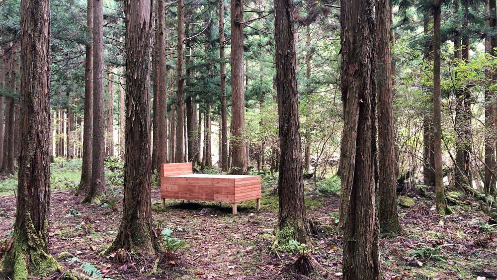 MIND TRAIL 奥大和 心のなかの美術館2021-20 MIND TRAIL 奥大和 心のなかの美術館2021-20