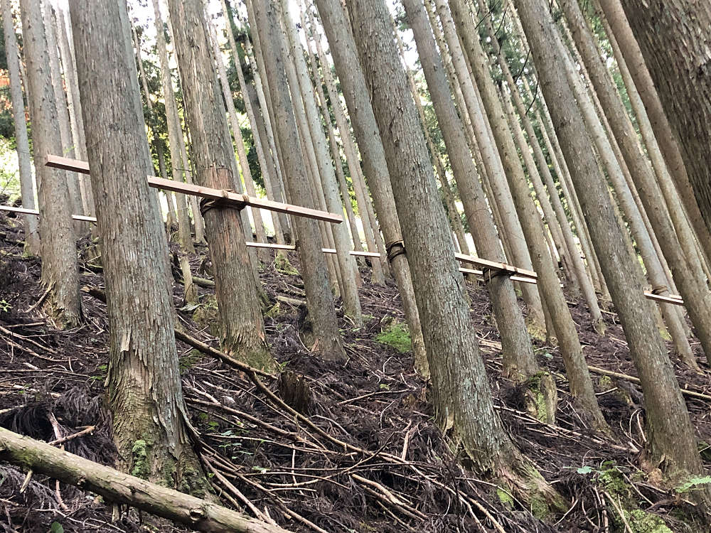 MIND TRAIL 奥大和 心のなかの美術館2021-23 MIND TRAIL 奥大和 心のなかの美術館2021-23