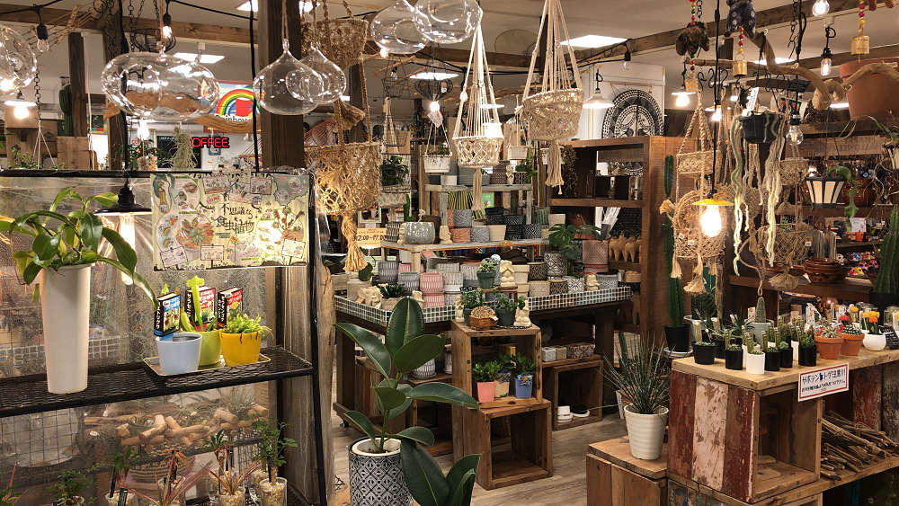 マライカ BAZAAR 奈良店@ミ・ナーラ(奈良市)-16 マライカ BAZAAR 奈良店@ミ・ナーラ(奈良市)-16