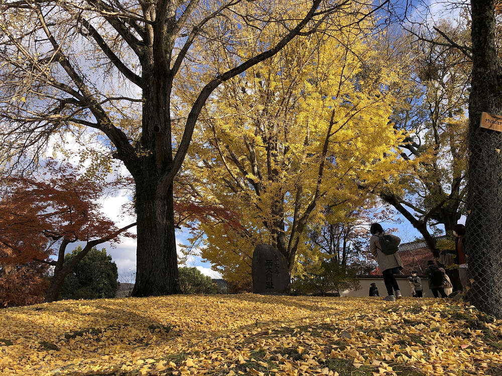 きたまちといろ＠奈良きたまち-09